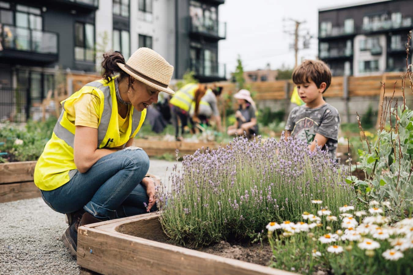 plantes qui attirent les pollinisateurs jardin